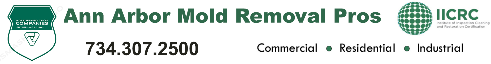 Ann Arbor Mold Removal Pros