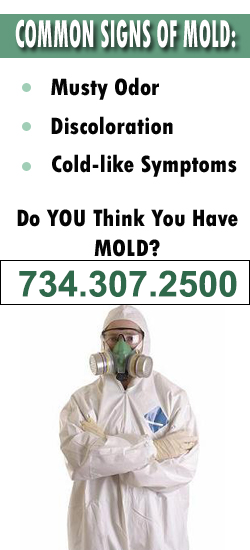 Ann Arbor Mold Remediation Contractor